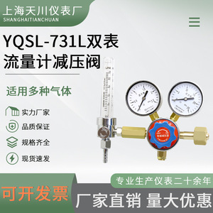 Válvula Reductora de Presión con Medidor de Flujo de Gas de Doble Indicador YQSL 731L 8mm G5 8 Salidas Temperatura Normal Etapa Única - Product Image 4