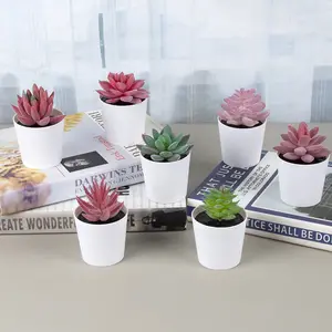 Mini Plastic Artificial Pot Combination Table Decoration Succulent Green Plant Bonsai Simulation Plant