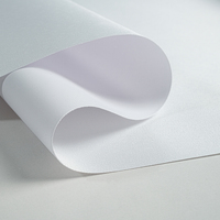 Toile en polyester semi-brillante 220GSM compatible avec Epson, Canon, HP pour impression jet d'encre, toile d'art décorative