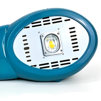 Lampe de rue LED ovale à dissipation thermique optimale, COB, IP66, étanche, pour éclairage routier extérieur