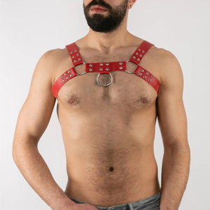 Ropa interior para hombres, correa para el pecho, fetiche gótico ajustable, jaula para el cuerpo para hombres, Gay arnés, ropa de orgía para Bondage - Product Image 2