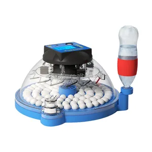 Incubateur automatique pour œufs de canaris TUOYUN, petit modèle, 93 œufs, vente en gros - Product Image 1