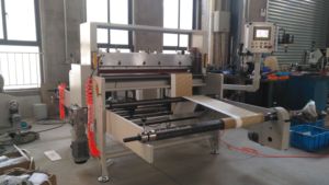 Machine de découpe rouleau-à-plateau avec découpe à la presse - Product Image 5