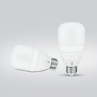 Ampoule LED T en gros, matériau brut, avec culot E27/B22, 6W, 6500K, AC, haute luminosité pour usage résidentiel