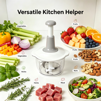 Mini robot culinaire multifonctionnel à pression manuelle, outil de cuisine portable pour mélanger, hacher les légumes et couper l'ail