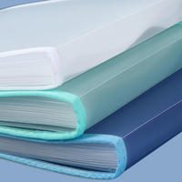 Carpeta de Archivos Expandible Multifuncional A4 con Logotipo Personalizado, Carpeta de PP de Gran Capacidad con 13 Compartimentos, Diseño de Acordeón