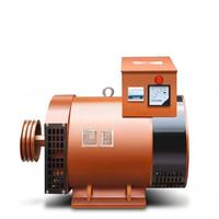 Birui Einphasen-/Dreiphasen-Wechselstromgenerator 5-50KW mit Bürsten und 1 Jahr Garantie