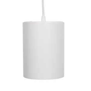 LED coltiva la lampadina a spettro completo per piante da interno dimmerabile 20 Watt-3000K ciondolo crescere la luce