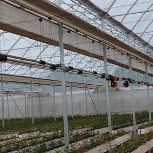 مصنع مخصص فيلم الدفيئة إطار معدني فيلم الدفيئة لزراعة الطماطم الدفيئة - Product Image 4
