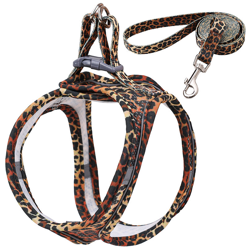 เสือดาว