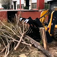 Attrezzatura per la pulizia del terreno: Trincia forestale, Benna a grappolo per radici per Skid Steer, Rastrello Harley in vendita