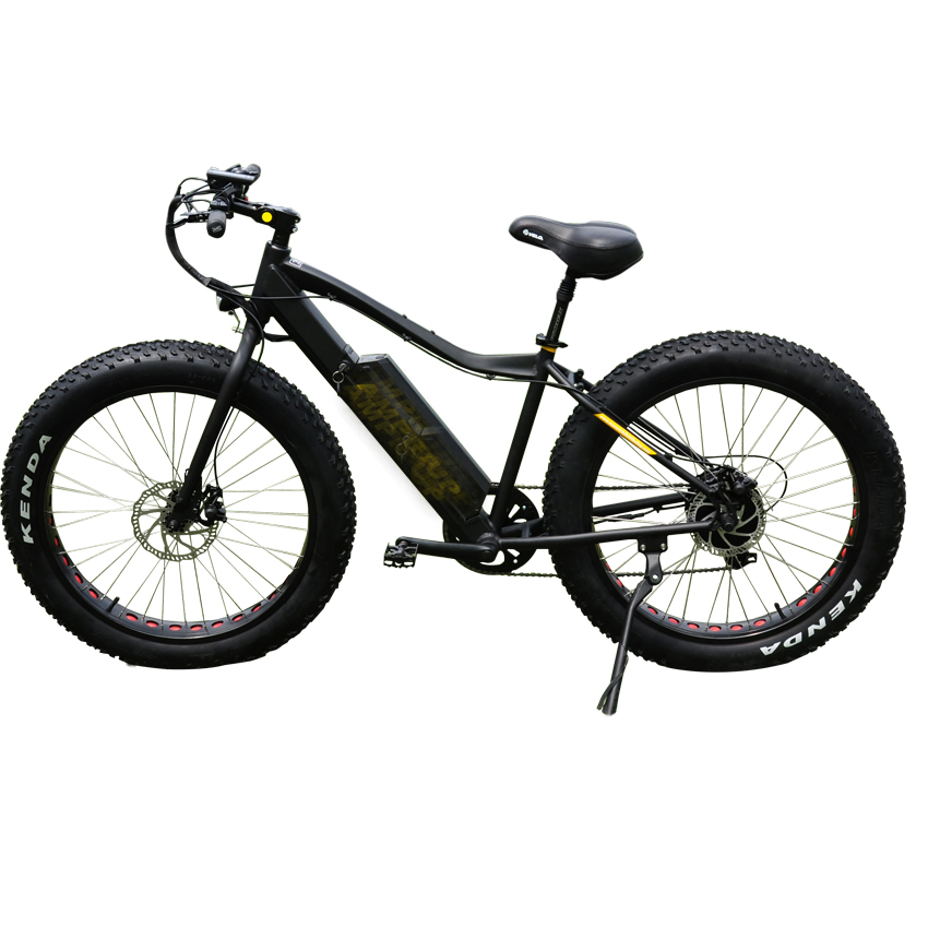 500/750W MTB e bici Italiano telaio ebike grasso elettrico della bici della bicicletta