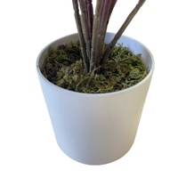 Plantes artificielles en feuilles de caladium à toucher réel, en pot, en plastique et en soie, durée de vie de 8 à 10 ans, décoration d'intérieur, directement de l'usine