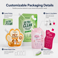 Pochettes d'emballage liquide personnalisées pour savon, shampoing, détergent, avec bec verseur en plastique, impression flexo, recyclables, couleurs personnalisées