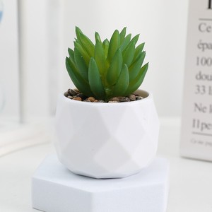 Succulente Artificiale Realistica in Vaso, Formato Piccolo, Pianta Artificiale Viva come Vera - Product Image 6