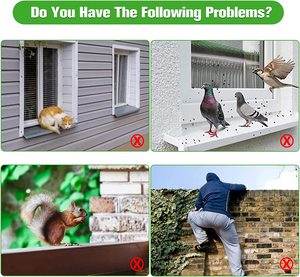 Güvercin, Kedi, Rakun ve Ağaçkakanlar İçin Paslanmaz Çelik Kuş Dikenleri Dış Mekan Zararlı Hayvan Kontrolü-Eko Dostu - Product Image 2