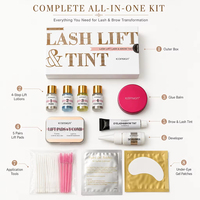 Kit de rehaussement et teinture de cils OEM ODM sous marque privée, teinture pour sourcils à la kératine, waterproof, longue tenue, logo personnalisé, emballage personnalisé