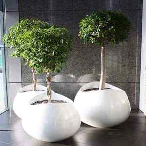 Fiberglass Flower Planter Modern <b>Large</b> Plant <b>Pot</b> Decorative Garden Container for Indoor Outdoor Home Commercial Landscaping - Product Image 3