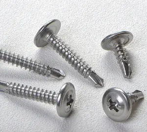 2019 hot sale cross head self drilling screw and SS304 ppan head tapping screw of discount price from factory supply