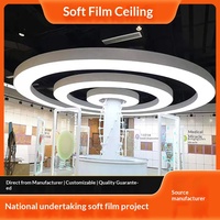 Film souple translucide ignifuge et anti-poussière en papier DuPont pour plafond, modèle 4011, personnalisable pour boîte à lumière - Magasin 4S