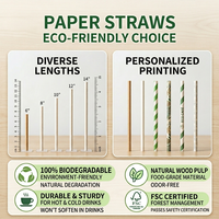 Pajitas de Papel Reciclado Biodegradables, Envueltas Individualmente, de Grado Alimenticio, Desechables, Compostables, con Logotipo Personalizado Impreso, Venta al Por Mayor para Bebidas
