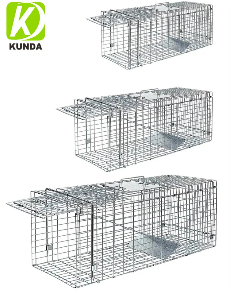 Lebende Kaninchen, Katze, Eichhörnchen, Waschbär, Maulwurf, Gopher, Ground hogs, Opossums Catch and Release Cage Humane Metal Animal Cage Trap