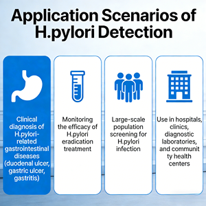 H.pylori à usages multiples : aide au diagnostic et au suivi de l'efficacité du traitement, adapté aux cliniques et laboratoires - Product Image 6