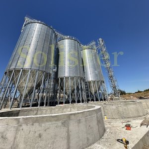 TSE Steel Hopper Bottom Seed Silos TCZK Series50T-1000T Capacity for Cereal for Storage - Product Image 6