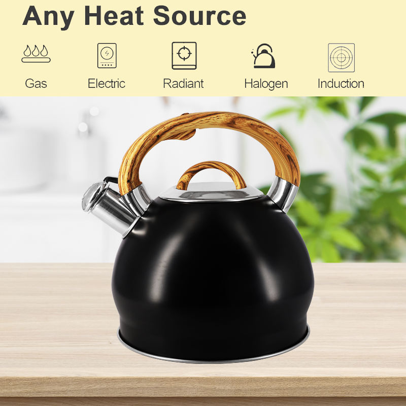 Induction Cooker Stainless Steel Water Warmer Tea Pots Stovetop