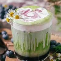 Poudre de matcha végétalienne Keto aux superaliments saveur myrtille, antioxydant, saveur pure de myrtille, thé vert matcha, boîte/sachet 100g