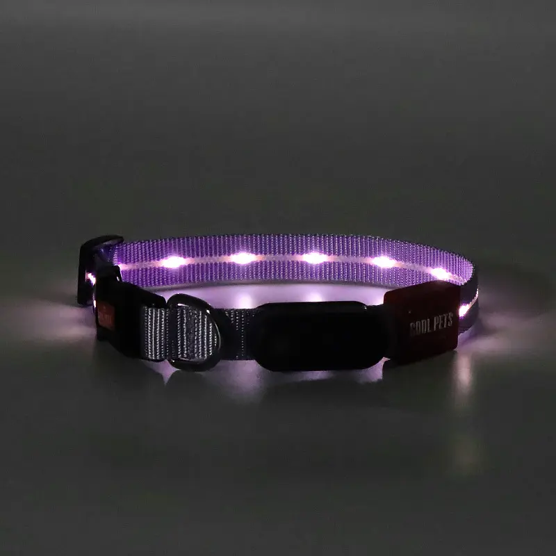 Collier pour animaux de compagnie à LED multicolores-Glow in the Dark, lumière clignotante, rechargeable par USB, collier pour chien avec bande lumineuse