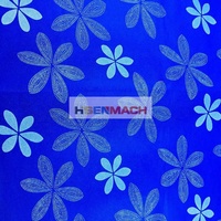 Machine d'impression flexographique automatique 2 couleurs pour sacs en plastique, film PE, tissu non tissé, certifiée CE, OEM