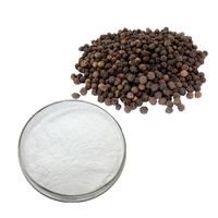 Poudre de piperine de haute pureté 95% Extrait de poivre noir Test HPLC Matière première de qualité alimentaire pour complément alimentaire
