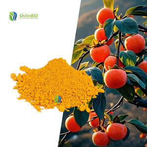 Poudre <span class=keywords><strong>de</strong></span> jus <span class=keywords><strong>de</strong></span> kaki <span class=keywords><strong>de</strong></span> qualité alimentaire, extrait végétal <span class=keywords><strong>de</strong></span> haute qualité, poudre <span class=keywords><strong>de</strong></span> kaki - Product Image 2