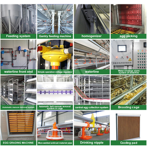 <span class=keywords><strong>Cage</strong></span> à poules pondeuses automatique de type H, nouvelle génération, pour l'élevage, en acier galvanisé à chaud, 3 à 8 niveaux, capacité de 90 à 200 poules, facile à assembler - Product Image 6