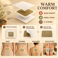 Patch de Moxibustion Naturel à l'Armoise avec Noyau Chauffant aux Herbes, Auto-adhésif pour Plusieurs Zones du Corps