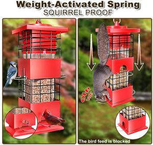 Comedouro para Pássaros Cardinal Finch, Blue Jay, <span class=keywords><strong>Chickadee</strong></span>, Papagaio e Pombo, 3Lbs, Metal, à Prova de Esquilos para Uso Externo - Product Image 2