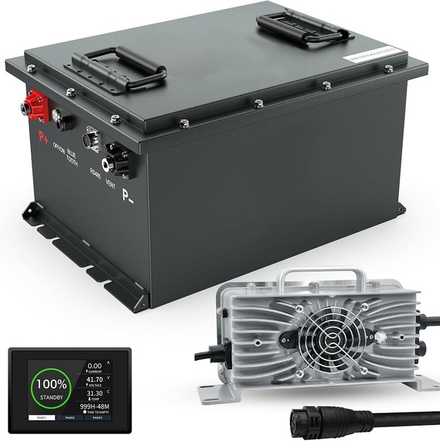 Forklift Lifepo4 Battery Pack 48v 50ah 100ah 200ah 300ah 51.2V for RV Camping Caravan AGV UPS Storage Battery with Metal case