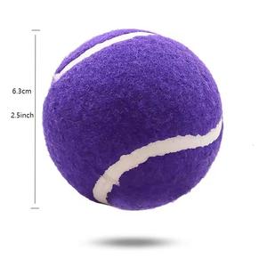 Custom Logo Tennis <strong>Balls</strong> for <strong>Dogs</strong> 2.5" High Bounce Durable Squeaky Tennis <strong>Balls</strong> <strong>Dog</strong> Training <strong>Ball</strong> with Assorted Colors - Product Image 4