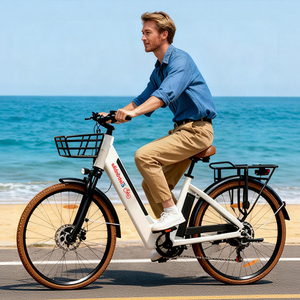 Drop Shipping MOQ1 EU Warehouse 28 Inch Aluminum Alloy Folding E Bike 250W 48V13.5Ah Torque Sensor Pedal Assist Bicycle - Product Image 1