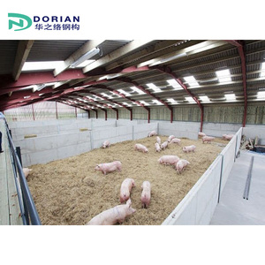 Tự động gia cầm lợn trang trại nhà thiết kế prefab ánh sáng Kết Cấu Thép piggery - Product Image 2