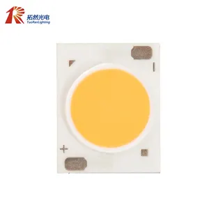 Fabbrica ad alta potenza COB 3W 5W 7W 9W 12W 9W 9v 300mA ceramica 1215 LED Chip