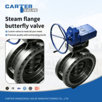 Válvula de Mariposa de Vapor Sellada de Metal con Triple Desplazamiento Carter, Brida RF de Acero Inoxidable SS304, Engranaje de Tornillo sin Fin para Vapor Saturado, PN64, Certificación ASME CE