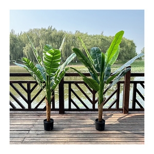 <span class=keywords><strong>Bananier</strong></span> QYYM-526 - Product Image 1