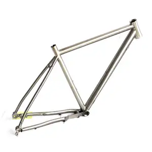 Titanium Alloy 29*2.4' Road Gravel Bike 56cm Frame Thru Axle 142*12 Disc Brake Flat Amount