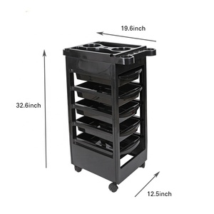 KIKI NEWGAIN Chariot de salon de <span class=keywords><strong>coiffure</strong></span> <span class=keywords><strong>professionnel</strong></span> moderne en PP avec 5 tiroirs, 1 plateau et conception à 4 roues - Product Image 2