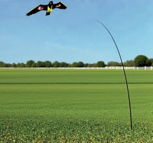 Qiaoliang fabrika doğrudan satış çiftlik koruma Hawk kuşlar/hawk uçurtma/hawk uçurtma/kuş kovucu uçurtma/hawk uçurtma kuş öcü - Product Image 4