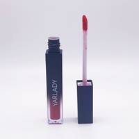 Gloss à lèvres liquide nacré vegan, sans cruauté, sans parabène, OEM, brillant, longue tenue, waterproof, anti-transfert, marque privée