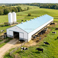 Structure en acier à longue portée de style ferme moderne, conception de poulailler pour poulets de chair, certification ISO9001CE pour la construction de bâtiments d'élevage avicole