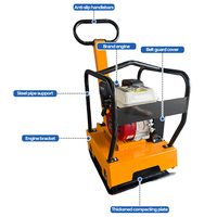 Compacteur à plaque vibrante à moteur essence modèle 250 pour la compactation de sols et de bases routières sur de grandes surfaces